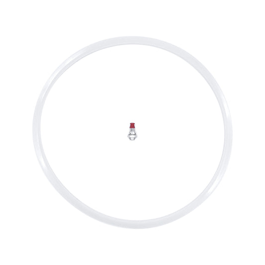 Empaque y valvula Seg 23 LT Ecko (43681)