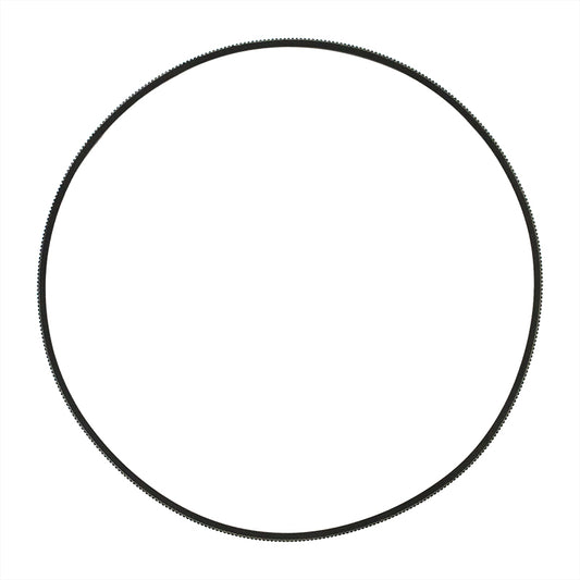 Banda Delgada Moderna WP (96388)