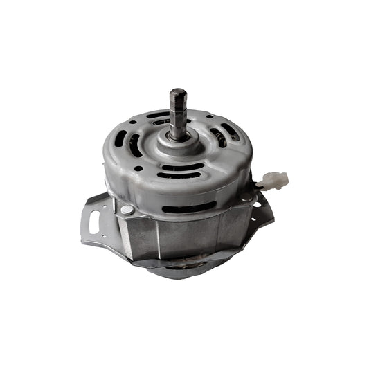 Motor 1/3 Easy Amasona (8102643)